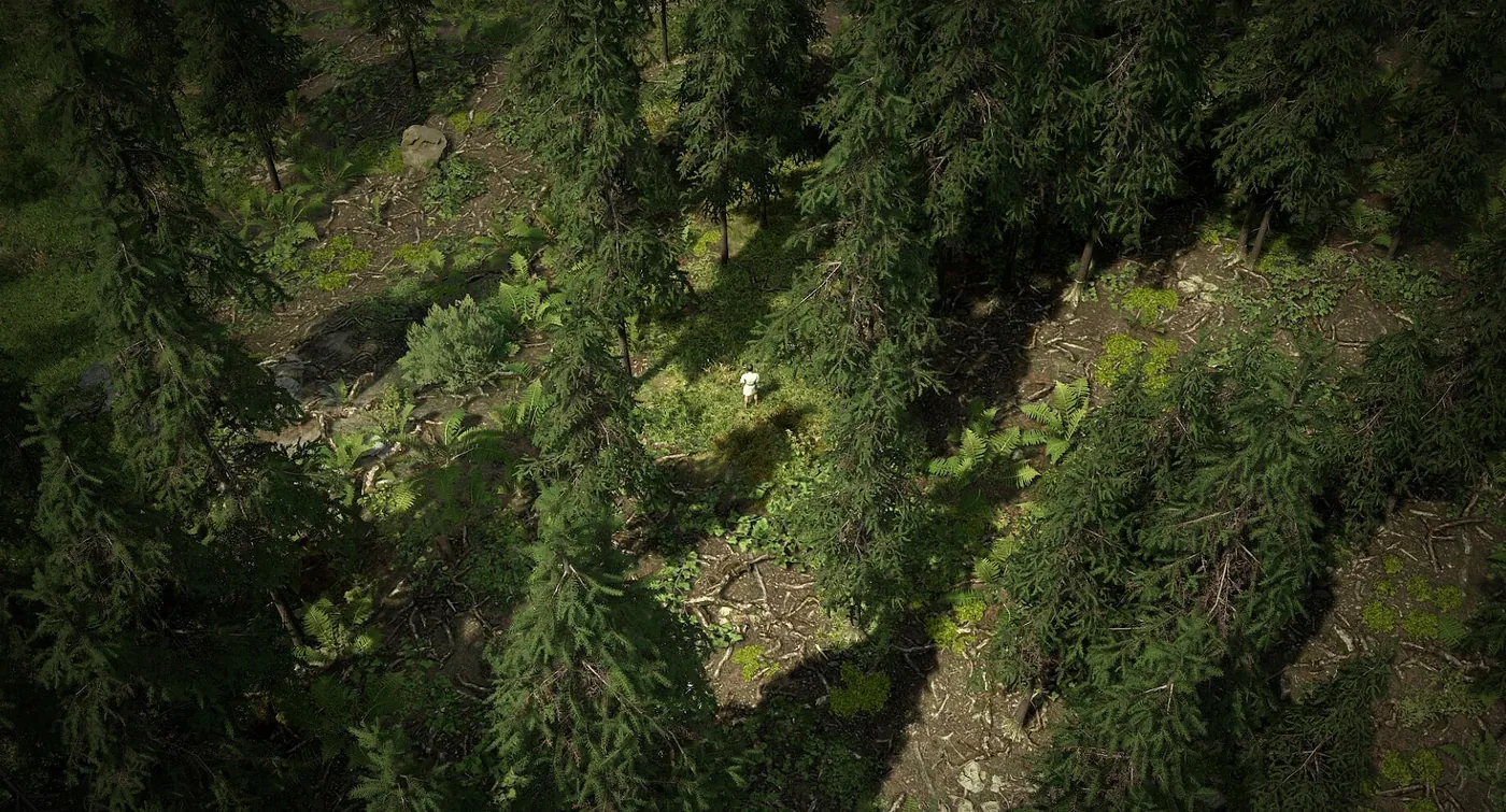 Une forêt dense de conifères vue du dessus, avec un joueur minuscule dans une clairière