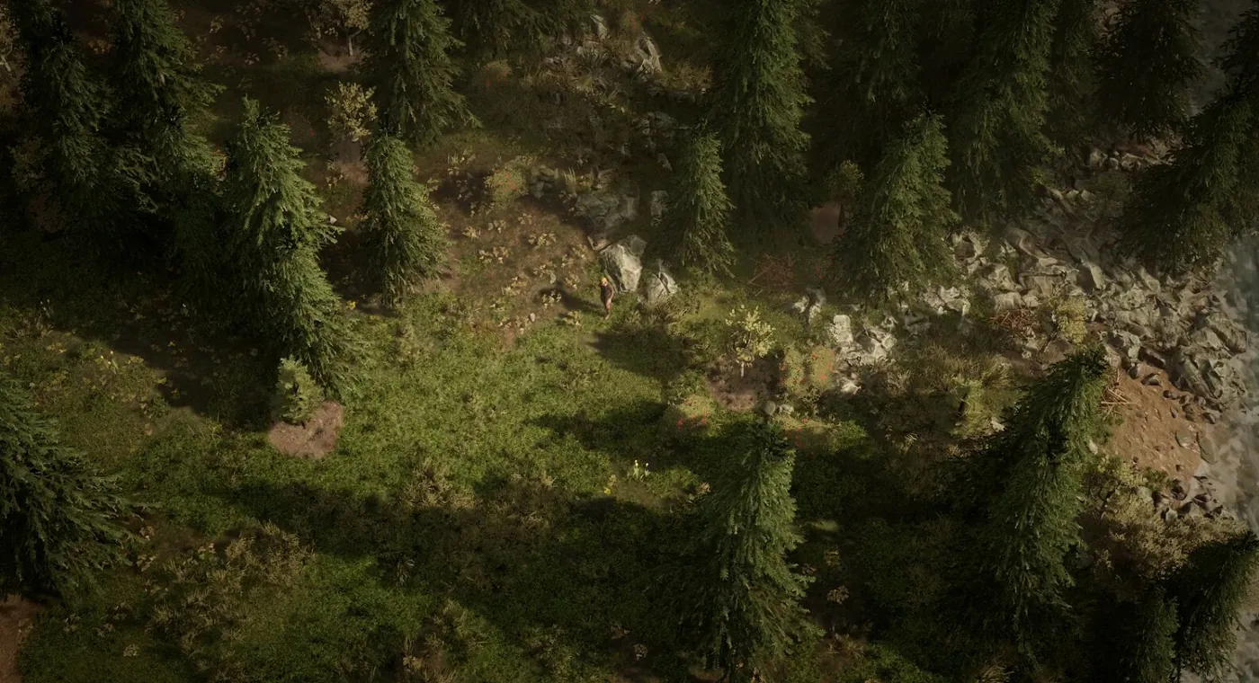 Une vallée boisée vue du ciel, conifères sombres et herbes hautes